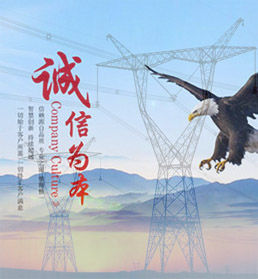 絕緣子|絕緣子|復合絕緣子|玻璃絕緣子|支柱絕緣子|電力金具廠家-河間天恒電力器材left圖